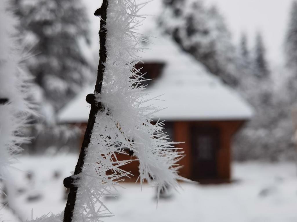 Zlatiborske Brvnare * Zlatibor