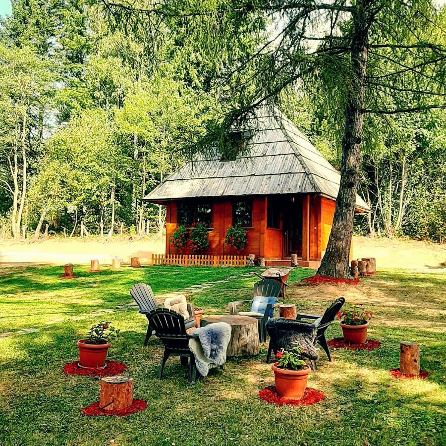 Zlatiborske Brvnare Chalet *