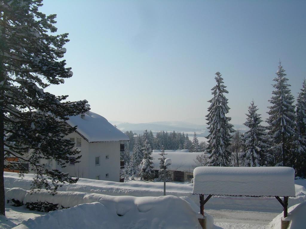 Zlatiborske Brvnare